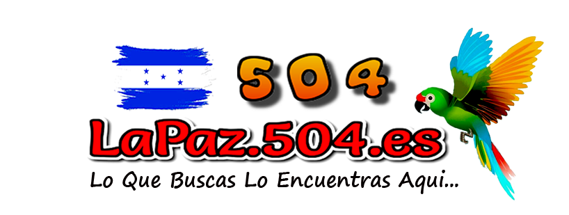 Logotipo del Directorio 504