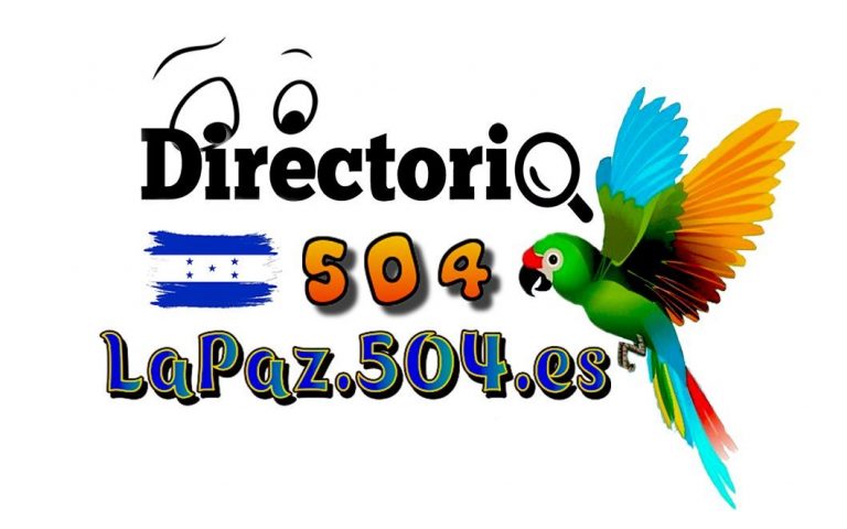 Descripción de la imagen 4